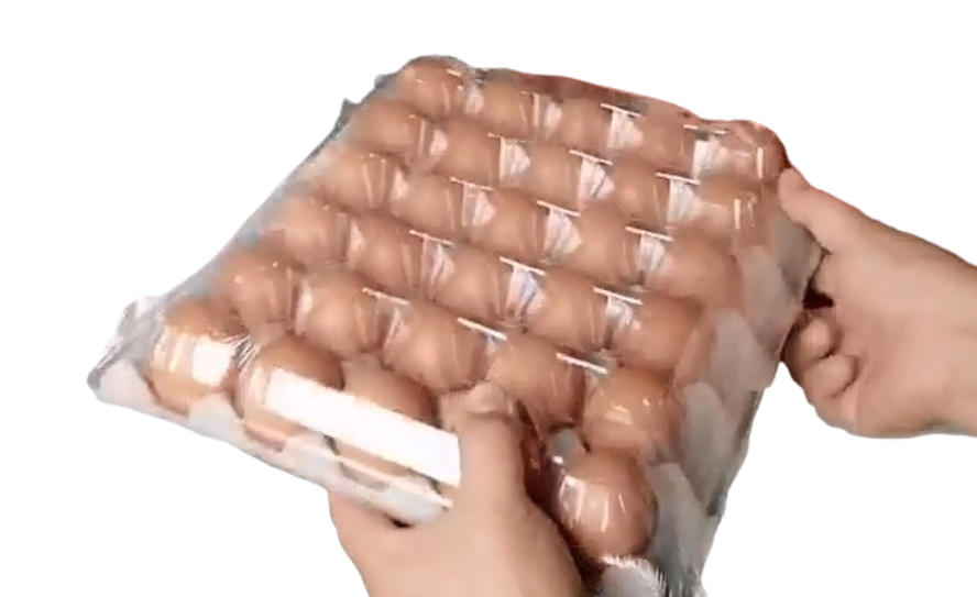 Egg Packaging